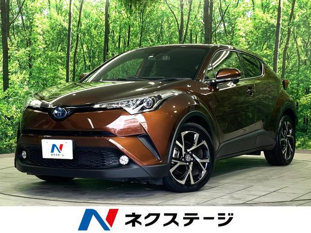 Toyota C-hr Zyx10