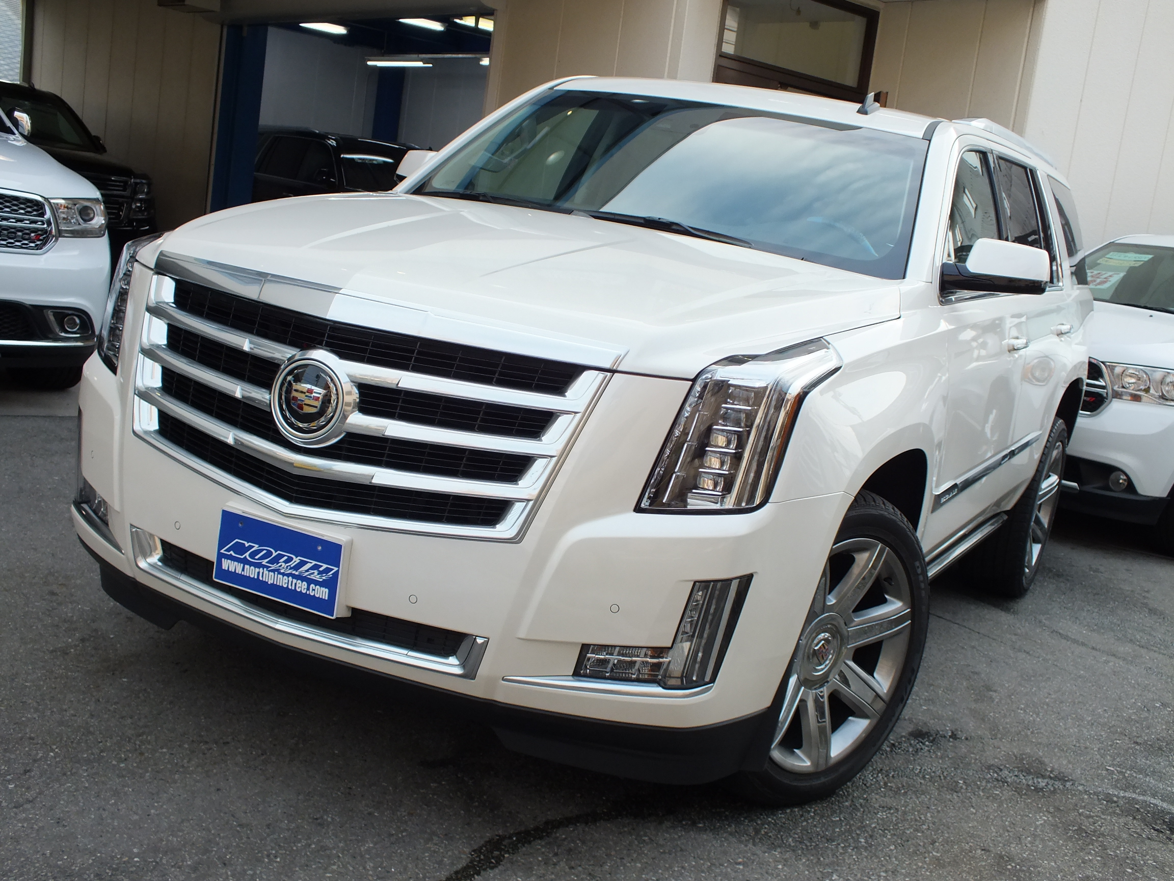 アメ車・逆輸入車 専門店 ノースパインツリー!mobile
