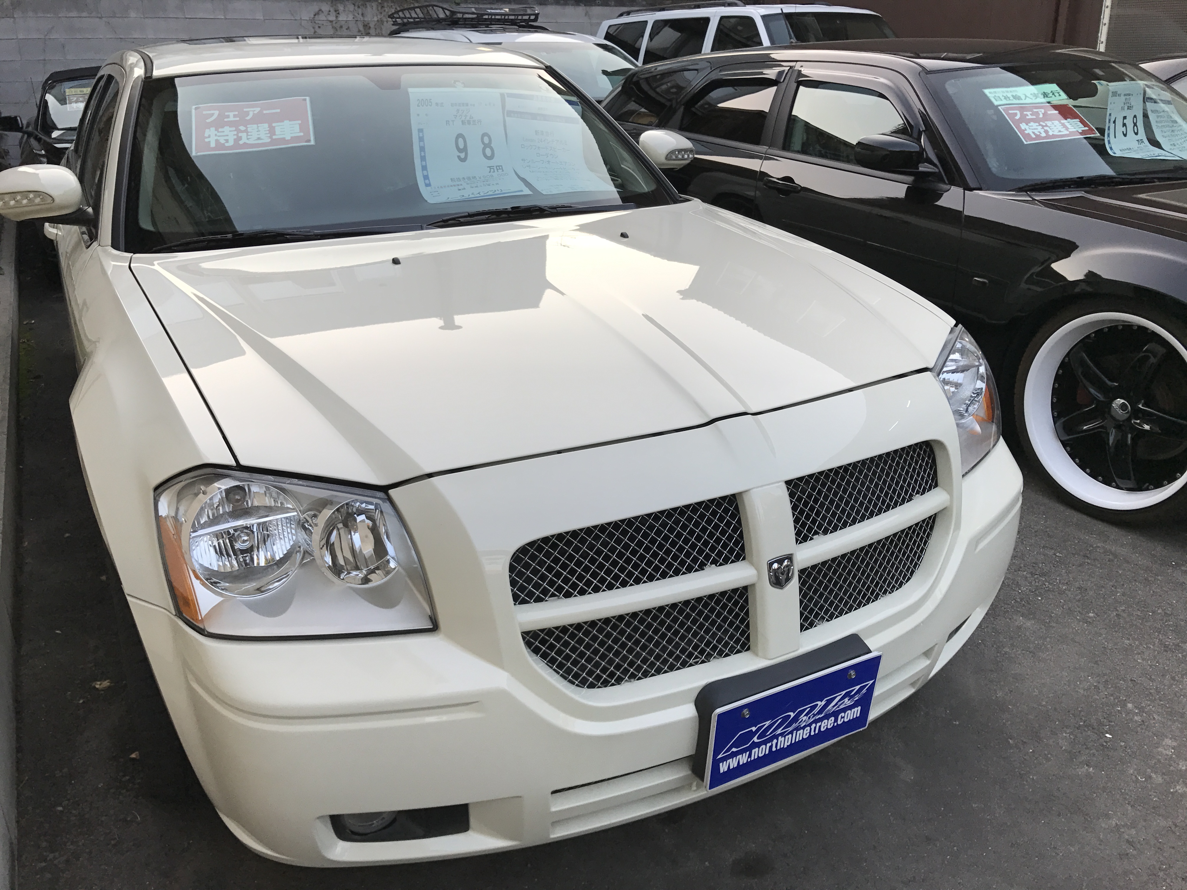 アメ車・逆輸入車 専門店 ノースパインツリー!mobile