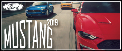 2019 mustang