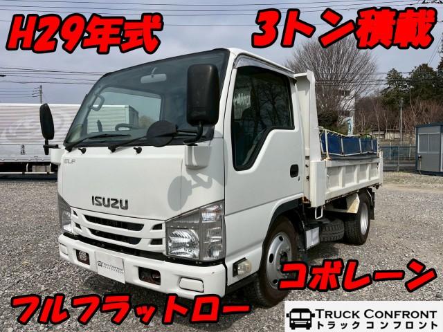 Isuzu ELF Truck