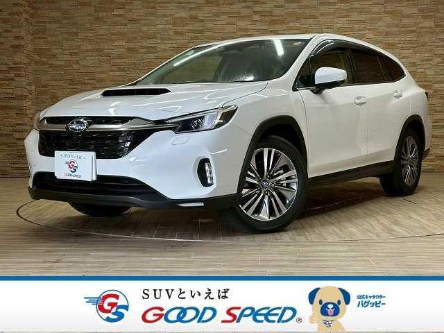 Used SUBARU LEVORG LAYBACK