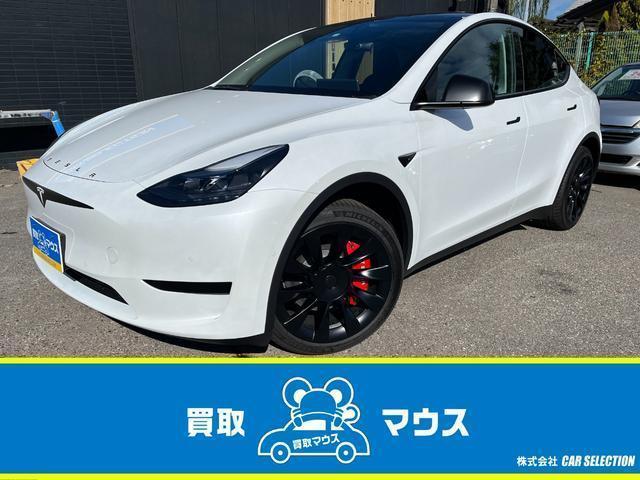 Used TESLA MODEL Y