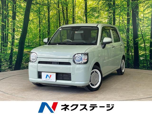 MIRA TOCOT 2019