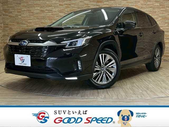 Used SUBARU LEVORG LAYBACK