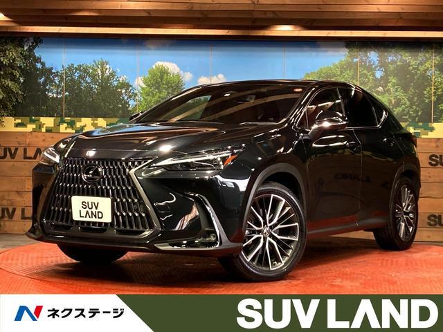 Used LEXUS NX