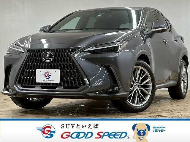 Used LEXUS NX