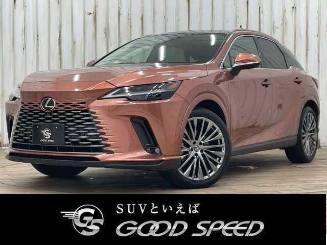 Used LEXUS RX