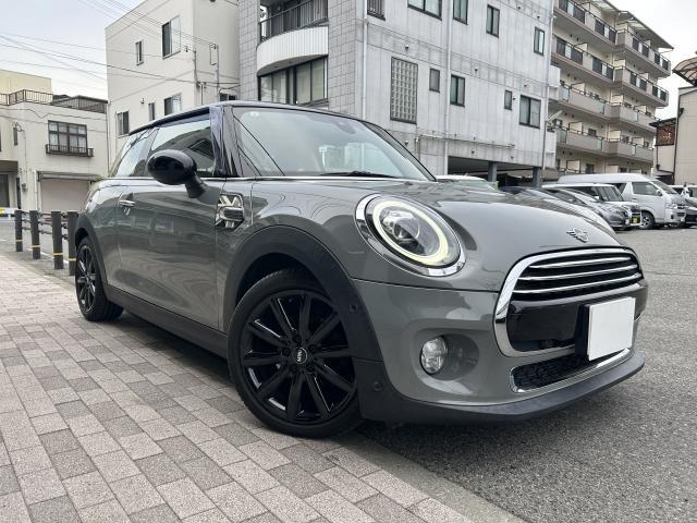 Mini Mini