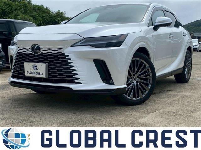 Used LEXUS RX