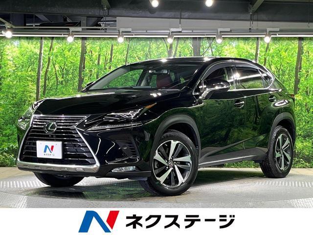 Used LEXUS NX