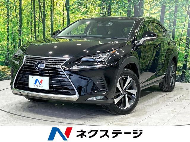 Used LEXUS NX