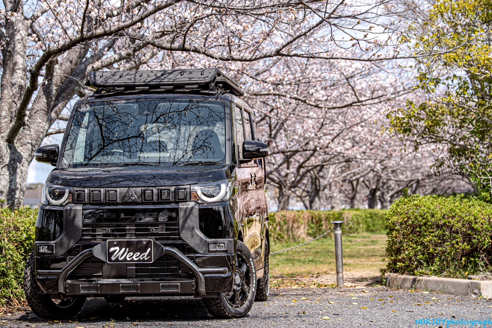 ハイラックスサーフの専門店でカスタムを行うなら | CarShopWeed[カー